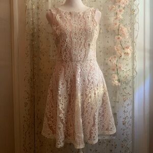 speechless lace cream mini dress size S